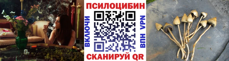 мориарти как зайти  Венёв  Псилоцибиновые грибы MAGIC MUSHROOMS 
